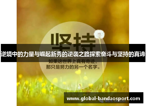 逆境中的力量与崛起新秀的逆袭之路探索奋斗与坚持的真谛 逆境中的力量与崛起新秀的逆袭之路探索奋斗与坚持的真谛